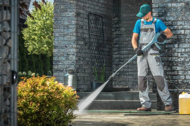Best Gutter Cleaning  in Fowlerville, MI
