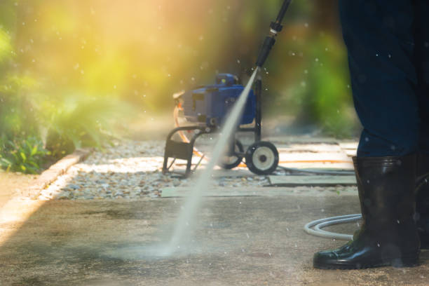 Best Driveway Pressure Washing  in Fowlerville, MI